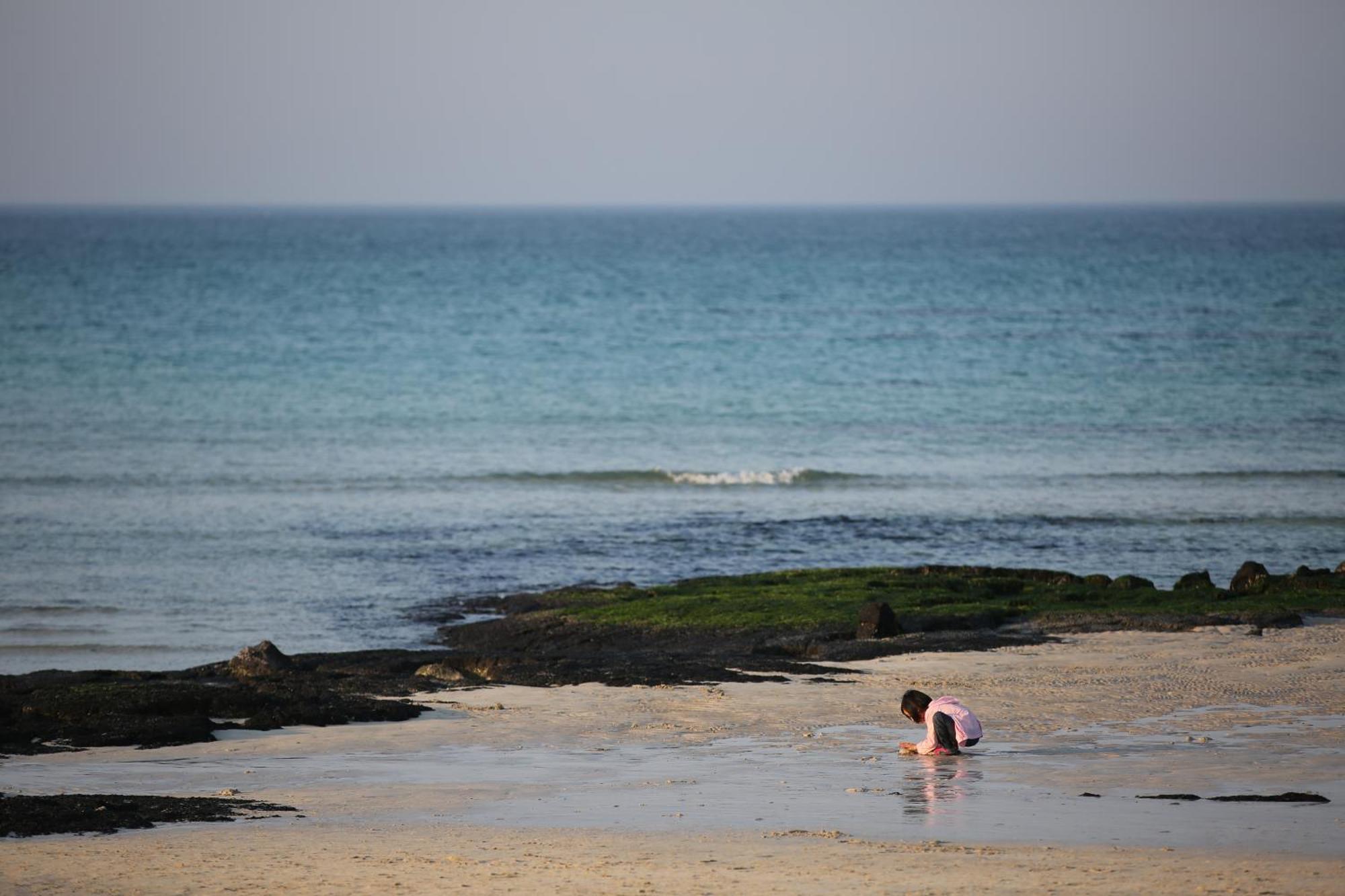 Private Unit For Family Or Group Jeju